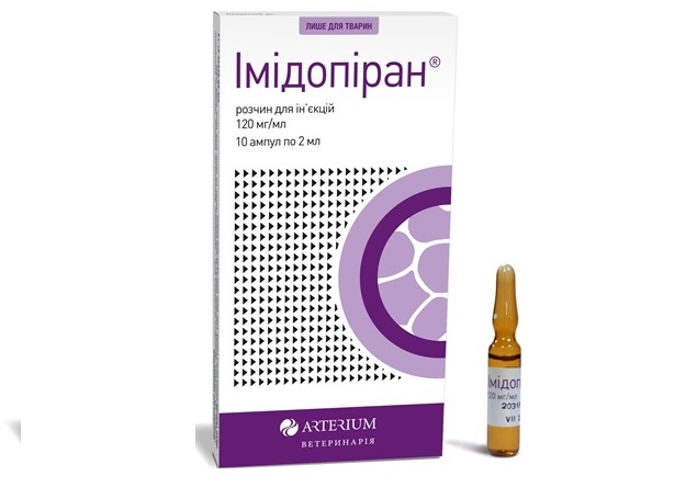 Arterium Corporation presents new veterinary drug Imidopiran